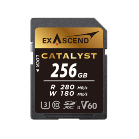Karta ExAscend SDXC Catalyst V60 256GB [FOTO7]